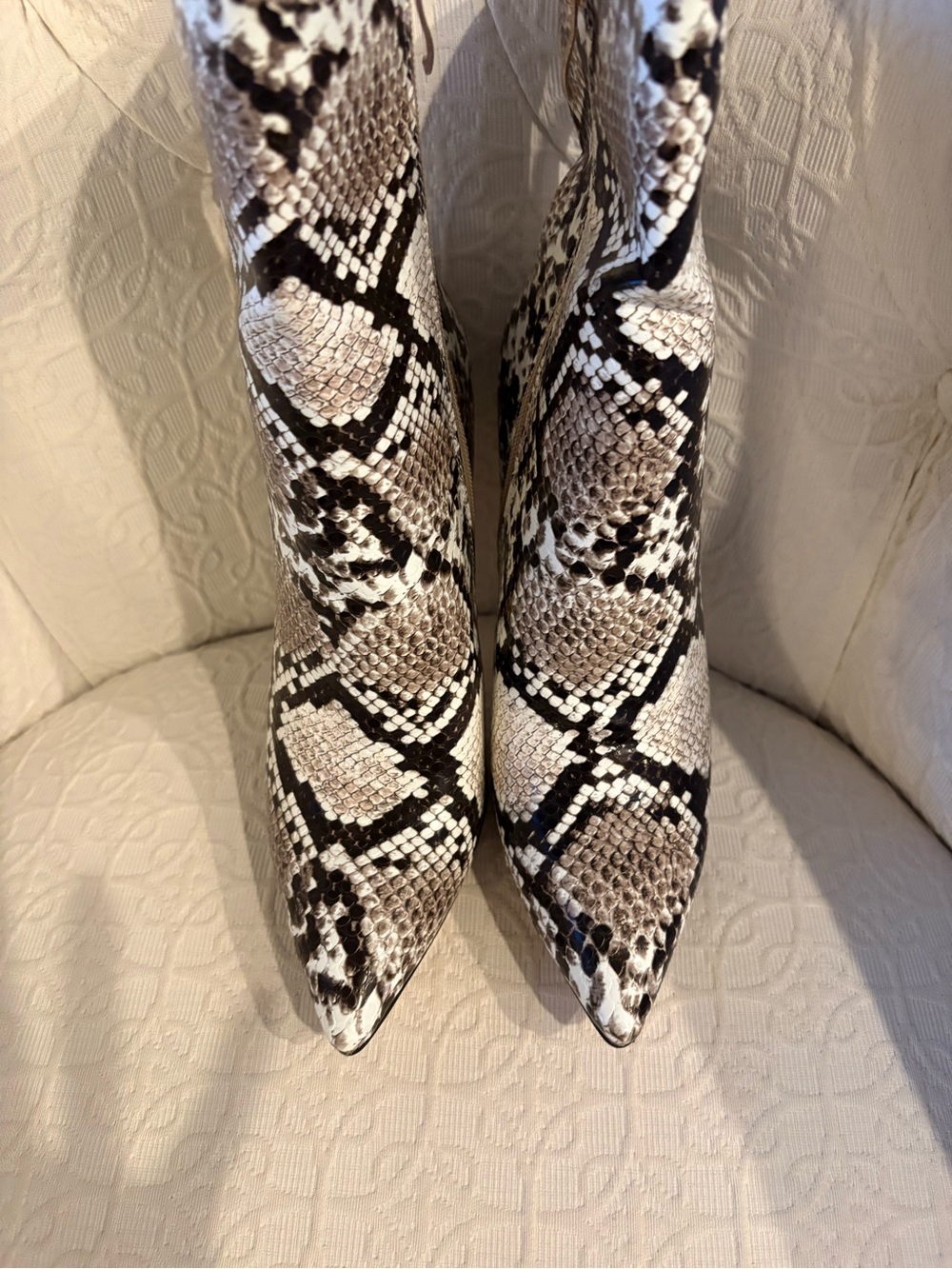Women's Pointed Toe Snake-Print Heeled Boots in Black and Cream